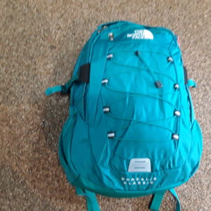 The North Face Borealis Classic groen
